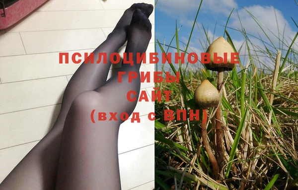 мяу мяу мука Армянск